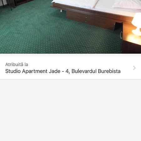 Alba Iulia Square - Apartments And Studios ブカレスト エクステリア 写真