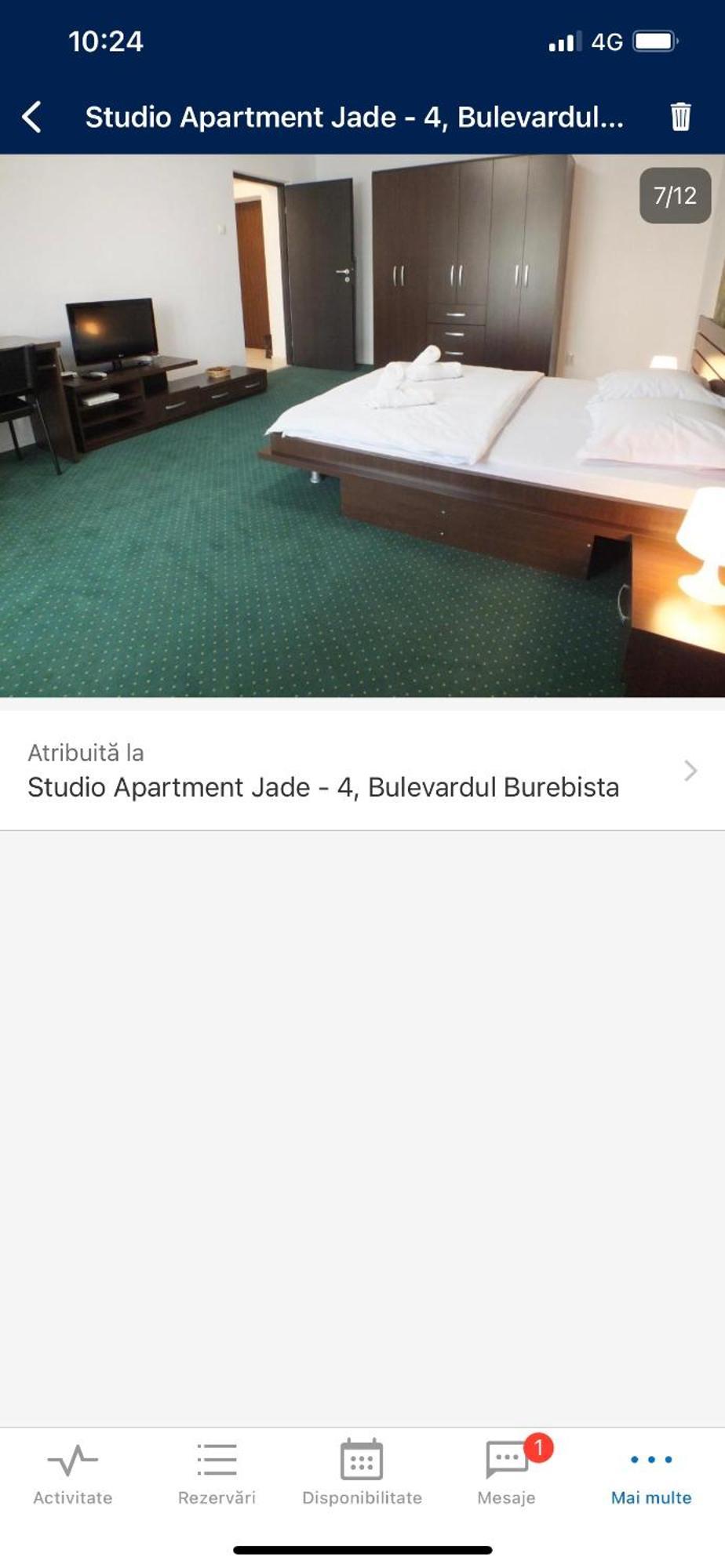 Alba Iulia Square - Apartments And Studios ブカレスト エクステリア 写真